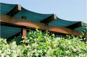 0722b0e8-4396-4ad0-a2dd-49e1bef68f2c_2