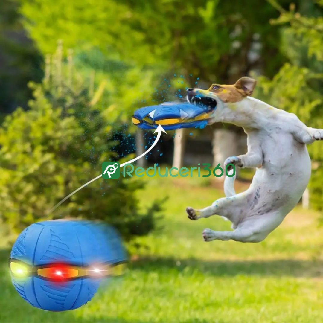 Set 2 x Disc zburator Flat Ball, transformabil in minge